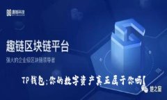 TP钱包：你的数字资产真正属于你吗？