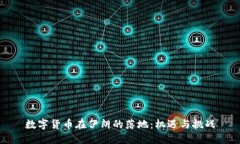 数字货币在伊朗的落地：机遇与挑战