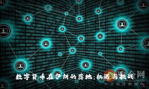 数字货币在伊朗的落地：机遇与挑战