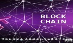 罗湖数字货币：尽收眼底的图像资源下载指南