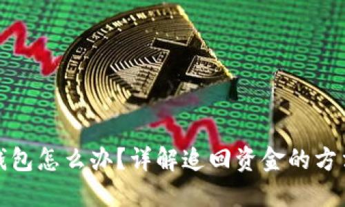 TP转错钱包怎么办？详解追回资金的方法与技巧