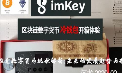 伊拉克数字货币现状解析：未来的发展趋势与挑战