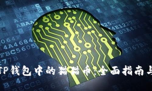 如何找回TP钱包中的猫猫币：全面指南与解决方案