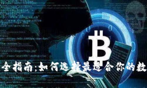 数字货币钱包完全指南：如何选择最适合你的数字资产存储方案