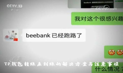 TP钱包转账未到账的解决方案与注意事项
