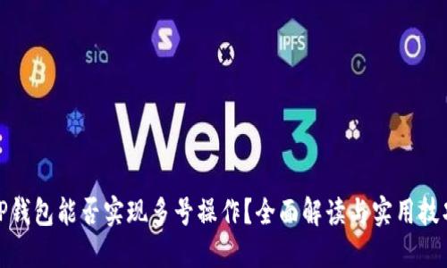 TP钱包能否实现多号操作？全面解读与实用技巧