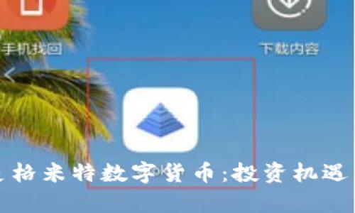 深入解析麦格米特数字货币：投资机遇与市场前景