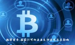 数字货币：国家认可的未来支付方式及其影响