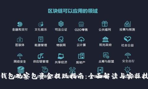 TP钱包观察包资金提现指南：全面解读与实操技巧