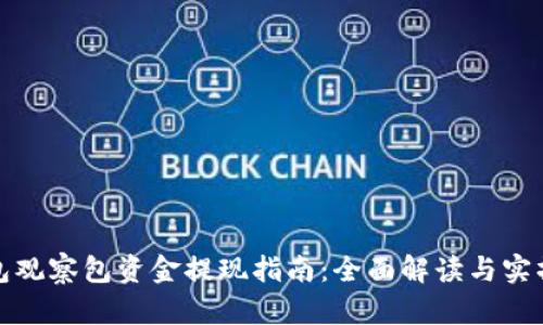 TP钱包观察包资金提现指南：全面解读与实操技巧