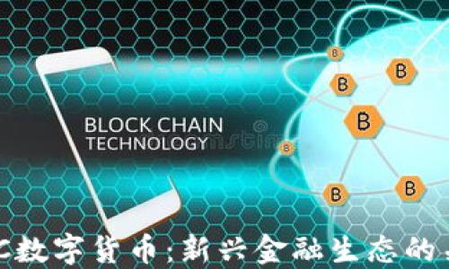 
了解CTC数字货币：新兴金融生态的关键角色