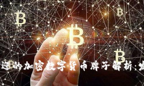 2023年最受欢迎的加密数字货币牌子解析：发现投资新机遇