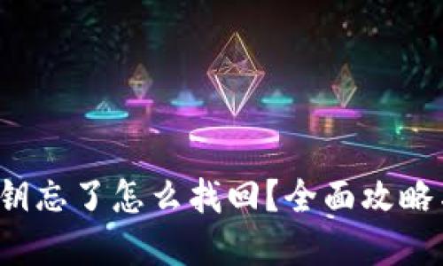  TP钱包密钥忘了怎么找回？全面攻略与解决方案