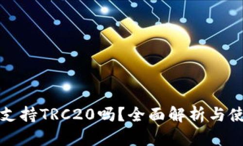 TP钱包支持TRC20吗？全面解析与使用指南