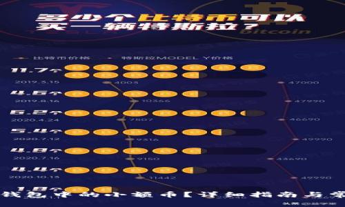 如何处理TP钱包中的小额币？详细指南与常见问题解答