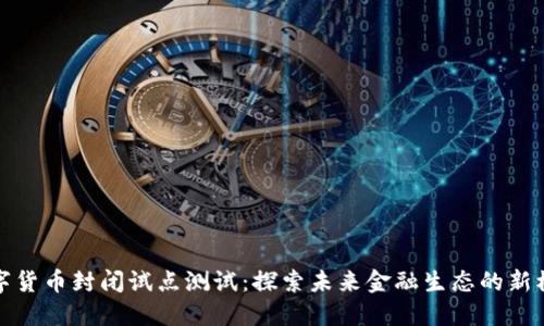 数字货币封闭试点测试：探索未来金融生态的新模式