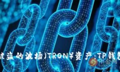 如何追回被盗的波场（TRON）资产：TP钱包安全指