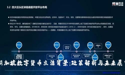 新加坡数字货币立法背景：政策解析与未来展望