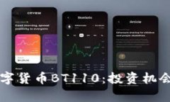深入解析数字货币BT110：投资机会与风险分析