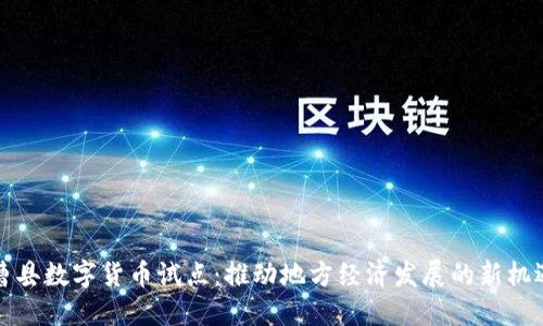 曹县数字货币试点：推动地方经济发展的新机遇
