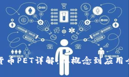 数字货币PET详解：从概念到应用全解析
