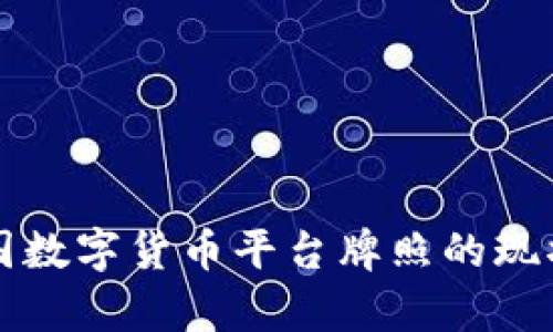 深入解析我国数字货币平台牌照的现状与未来发展
