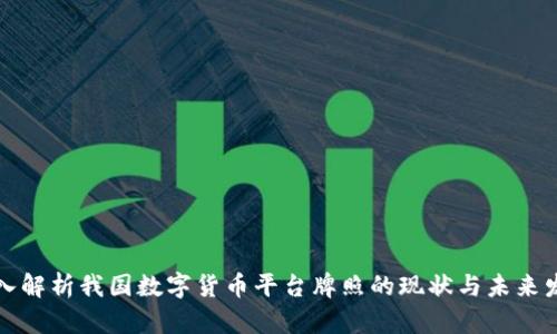 深入解析我国数字货币平台牌照的现状与未来发展