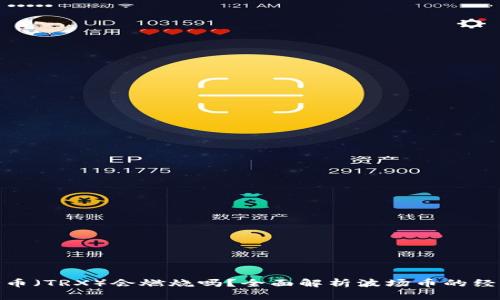 : TP钱包中的波场币（TRX）会燃烧吗？全面解析波场币的经济模型与未来趋势