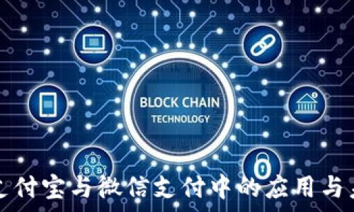   
数字货币在支付宝与微信支付中的应用与未来发展分析