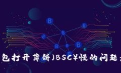 解决TP钱包打开薄饼（BSC）慢的问题：全面指南