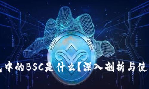 TP钱包中的BSC是什么？深入剖析与使用指南