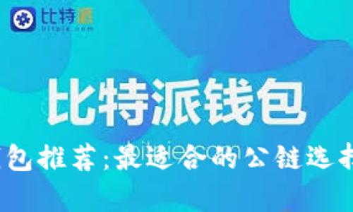: 2023年TP钱包推荐：最适合的公链选择及其优势解析