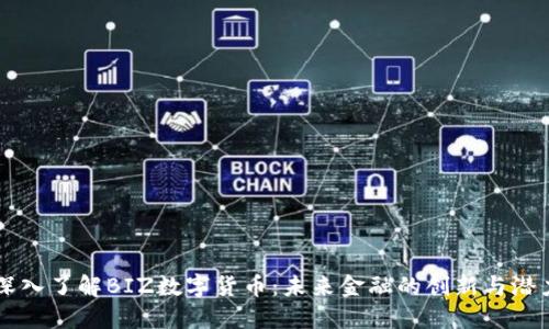 深入了解BIZ数字货币：未来金融的创新与潜力
