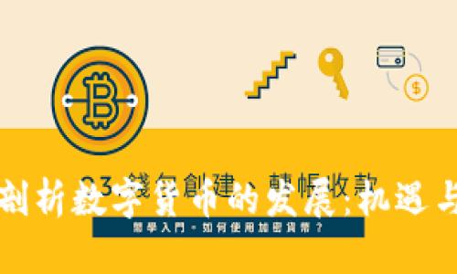 深入剖析数字货币的发展：机遇与挑战