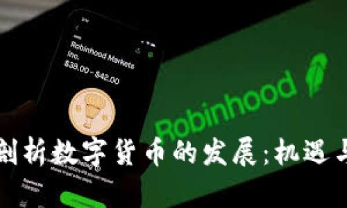 深入剖析数字货币的发展：机遇与挑战