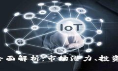 REI数字货币的全面解析：市场潜力、投资机会与