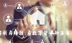 深入解析马蹄链：马数字货币的未来与机遇