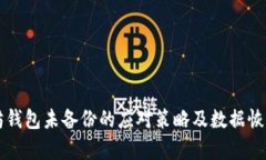 以太坊钱包未备份的应对策略及数据恢复指南