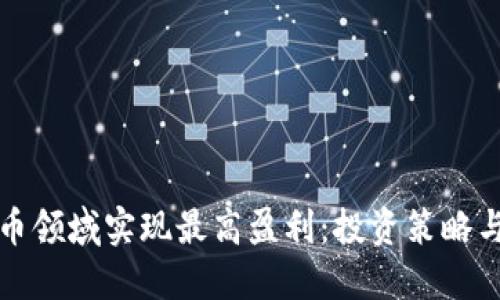如何在数字货币领域实现最高盈利：投资策略与成功案例详解