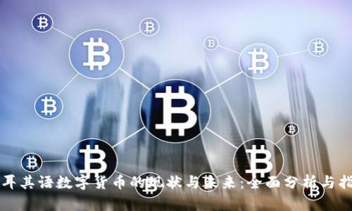 土耳其语数字货币的现状与未来：全面分析与指南