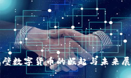 鹤壁数字货币的崛起与未来展望