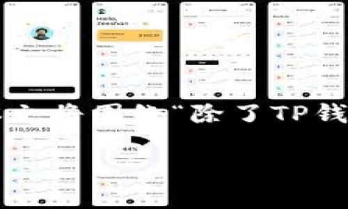 在区块链和加密货币的世界中，选择合适的钱包和观察工具对于投资者和交易者来说至关重要。本文将围绕“除了TP钱包，还有哪些可以观察”的主题进行深入探讨，介绍多种适合观察和管理加密资产的钱包及其功能。

除了TP钱包，还有哪些优秀的钱包可以观察和管理加密资产？