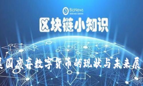 美国废弃数字货币的现状与未来展望