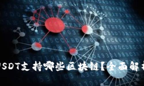 TP钱包中的USDT支持哪些区块链？全面解析及使用指南