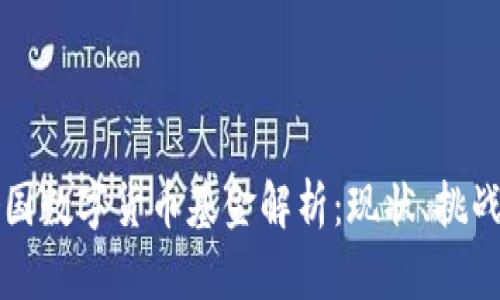 全球各国数字货币基金解析：现状、挑战与未来