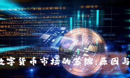 2023年数字货币市场的萎缩：原因与影响分析