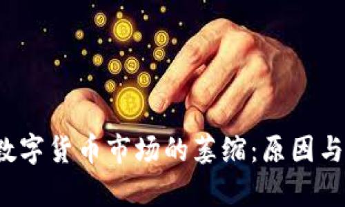 2023年数字货币市场的萎缩：原因与影响分析