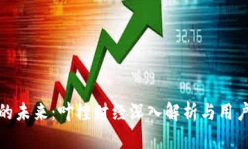 数字货币的未来：叶檀财经深入解析与用户关注问题