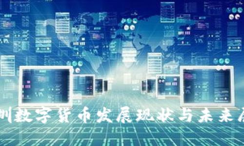 深圳数字货币发展现状与未来展望