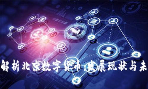 : 全面解析北京数字货币：发展现状与未来趋势